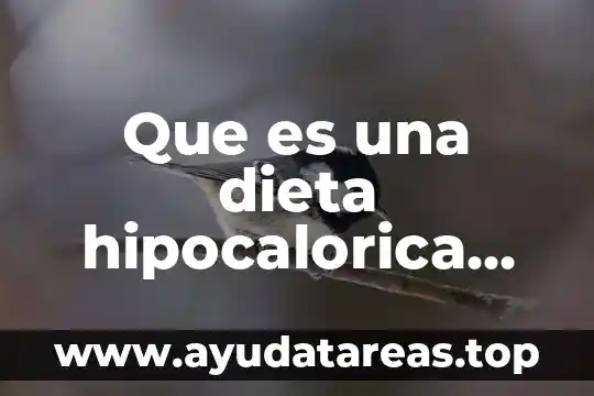 Que es dieta y sus tipos 7 Que es una dieta hipocalorica ejemplo