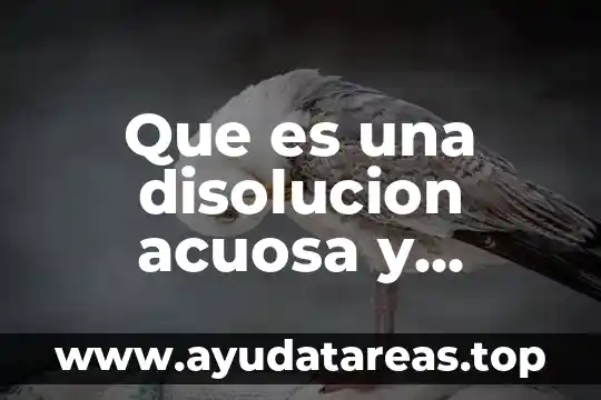 Que es signo y cuales son sus componentes 6 Que es una disolucion acuosa y cuales son sus componentes