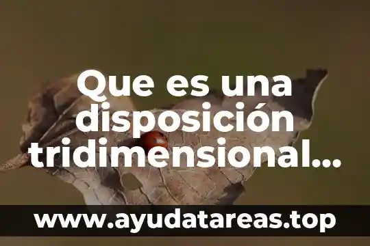 Qué es doctrina estrada concepto 3 Que es una disposición tridimensional concepto