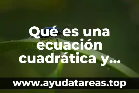 Número de términos que es 8 Qué es una ecuación cuadrática y sus términos