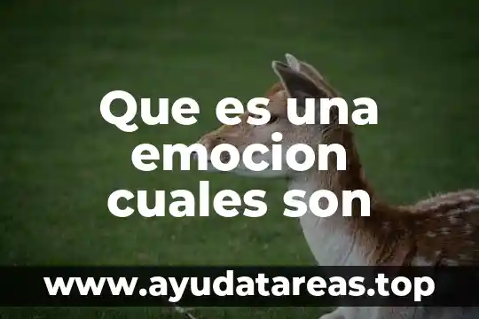 Que es signo y cuales son sus componentes 8 Que es una emocion cuales son