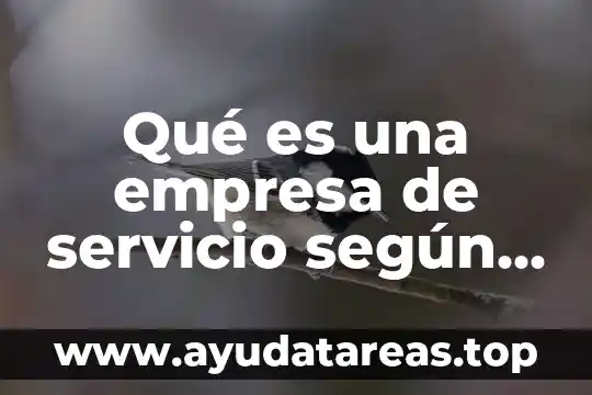 Qué es una empresa de servicio según Chiavenato