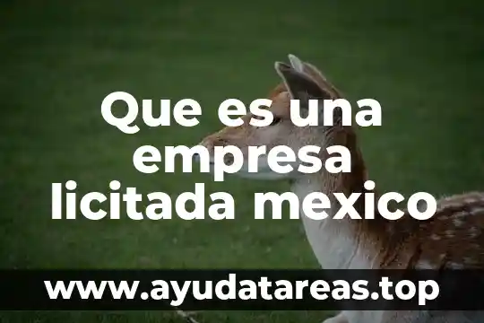 Que es una empresa licitada mexico