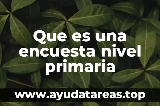 Que es una encuesta nivel primaria