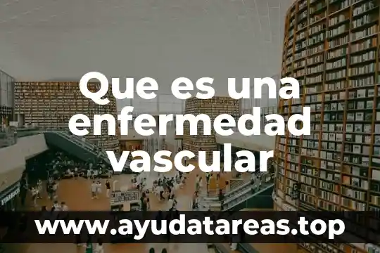 Nivel vascular que es 3 Que es una enfermedad vascular