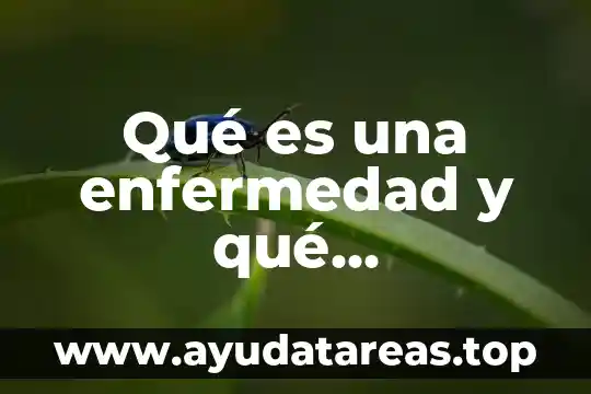 Que es enfermedad y tipos de enfermedades 5 Qué es una enfermedad y qué enfermedades hay