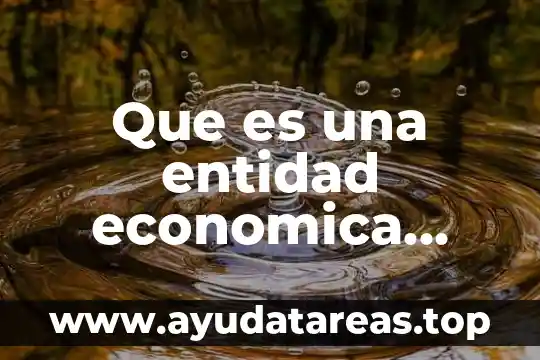 Que es una entidad economica segun las nif 2018