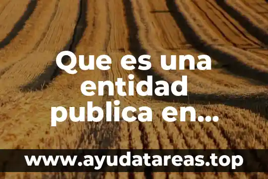 Que es una entidad publica en contabilidad
