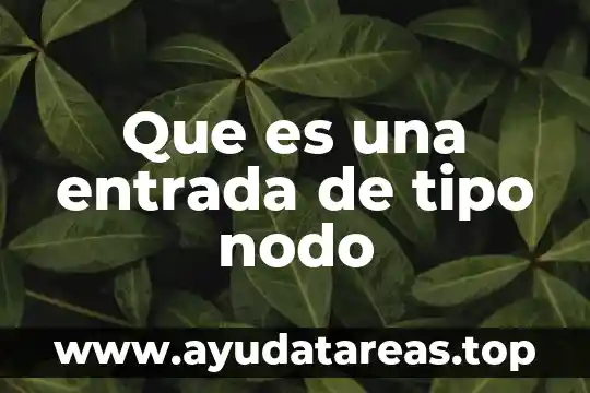 Que es una entrada de tipo nodo