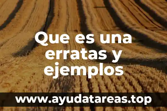 Que es una erratas y ejemplos