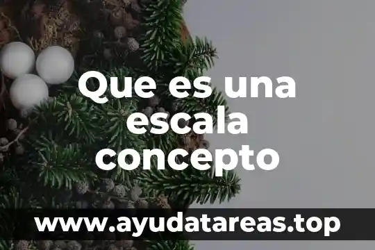 Que es una escala concepto