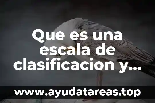 Que es una escala de clasificacion y tipos