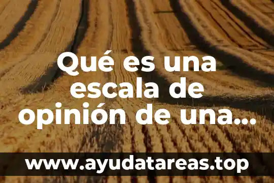 Qué es una escala de opinión de una investigación