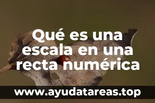 Qué es una escala en una recta numérica