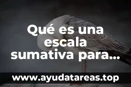 Qué es una escala sumativa para evaluación