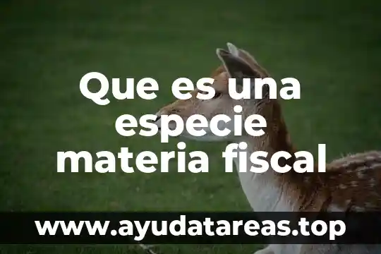 Qué es el número de control en fiscal 8 Que es una especie materia fiscal