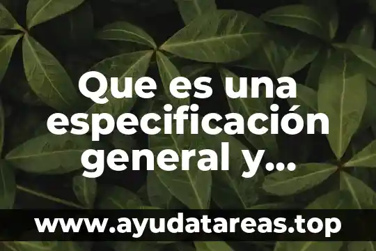 Que es una especificación general y particular
