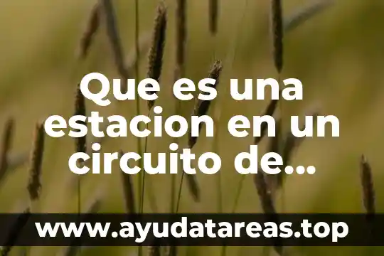 Qué es un libro de acción política 4 Que es una estacion en un circuito de accion motriz