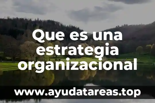Que es como trazar un mapa del terreno organizacional 8 Que es una estrategia organizacional