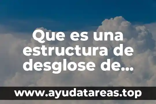 Que es el ong y sus tipos 5 Que es una estructura de desglose de trabajo