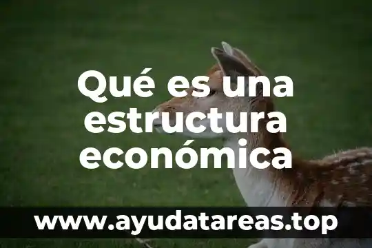 Qué es la teoría económica funcional 6 Qué es una estructura económica