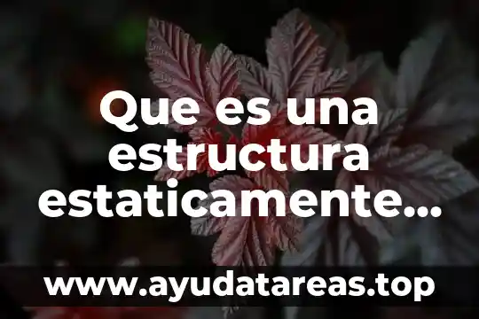 Que es una estructura estaticamente determinada