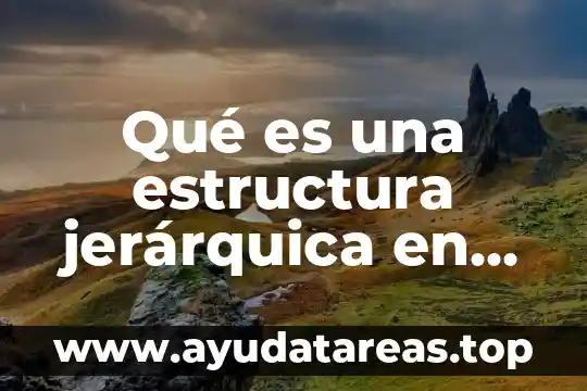 Qué es una estructura jerárquica en las escuelas concepto