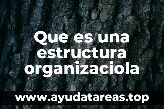 Que es una estructura organizaciola