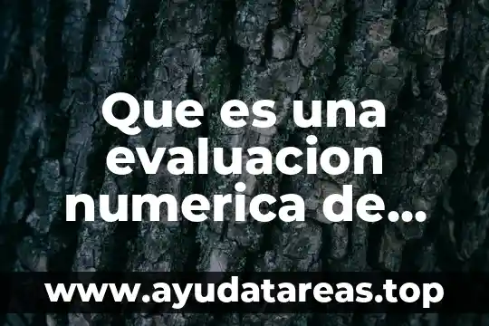 Que es significa la correspondencia entre representacion numerica 4 Que es una evaluacion numerica de expresiones algebraicas