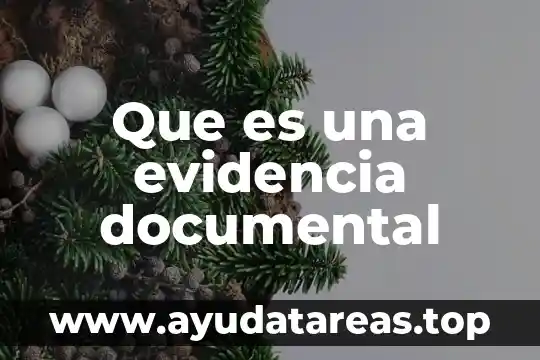 Que es ml en números cuánticos 5 Que es una evidencia documental