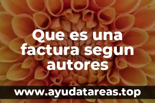 Que es una factura segun autores