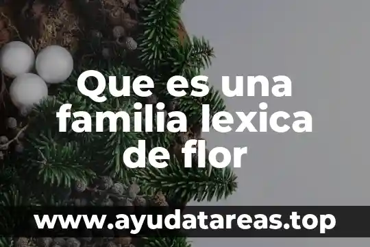 Que es la linea de tiera 6 Que es una familia lexica de flor