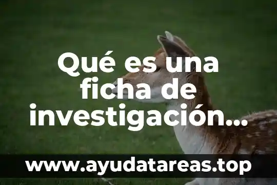 Qué es un signo en diseño gráfico 5 Qué es una ficha de investigación documental de archivo gráfico