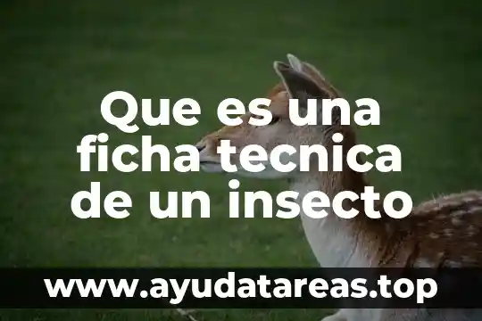 Que es una ficha tecnica de un insecto