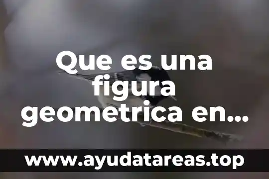 Que es adicion en termino matematico 4 Que es una figura geometrica en termino matemático