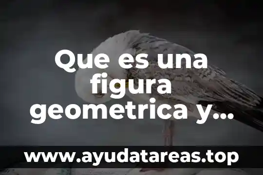 Que es un punto como un lugar geometrico 6 Que es una figura geometrica y un cuerpo geometrico