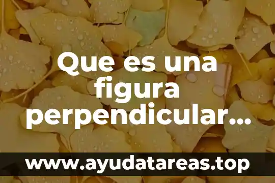 Que es la linea perpendicular yahoo 4 Que es una figura perpendicular yahoo