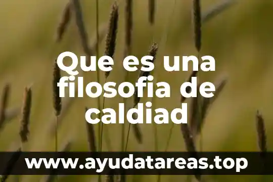 Que es una filosofia de caldiad