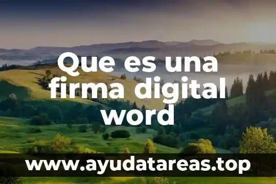 Para que sirve la firma electronica y que es 6 Que es una firma digital word