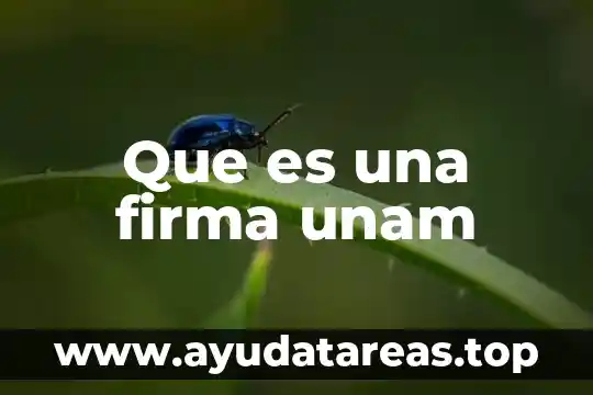 Para que sirve la firma electronica y que es 8 Que es una firma unam