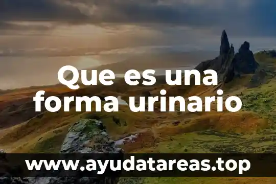 Que es una forma urinario