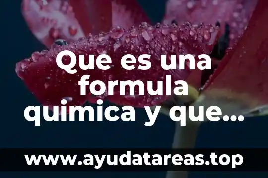 Que es una formula quimica y que partes la componen