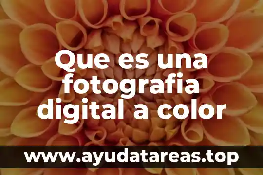 Qué es asiento de información 4 Que es una fotografia digital a color