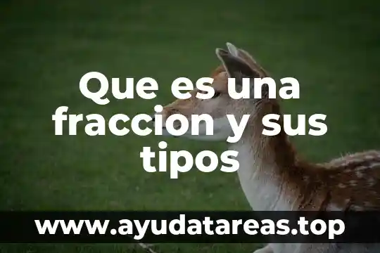 Que es una fraccion y sus tipos