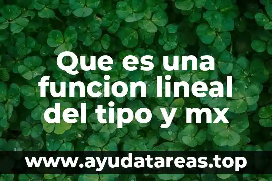 Que es una funcion lineal del tipo y mx