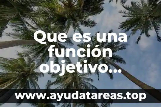 Que es una función objetivo optimizacion