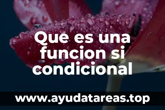 Que es una funcion si condicional