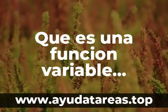Que es una variable y tipos de variables en investigacion 3 Que es una funcion variable independiente definicion libro