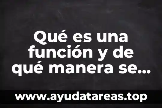 Hierliedimia que es y funcion tipos y sintomas 3 Qué es una función y de qué manera se simboliza
