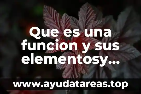 Que es sueño en resumen 5 Que es una funcion y sus elementosy propiedades